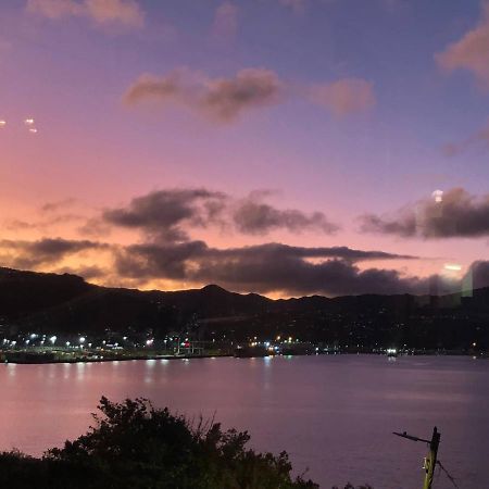 Incredible Views! Luxurious Studio & Outdoor Living Wellington Dış mekan fotoğraf