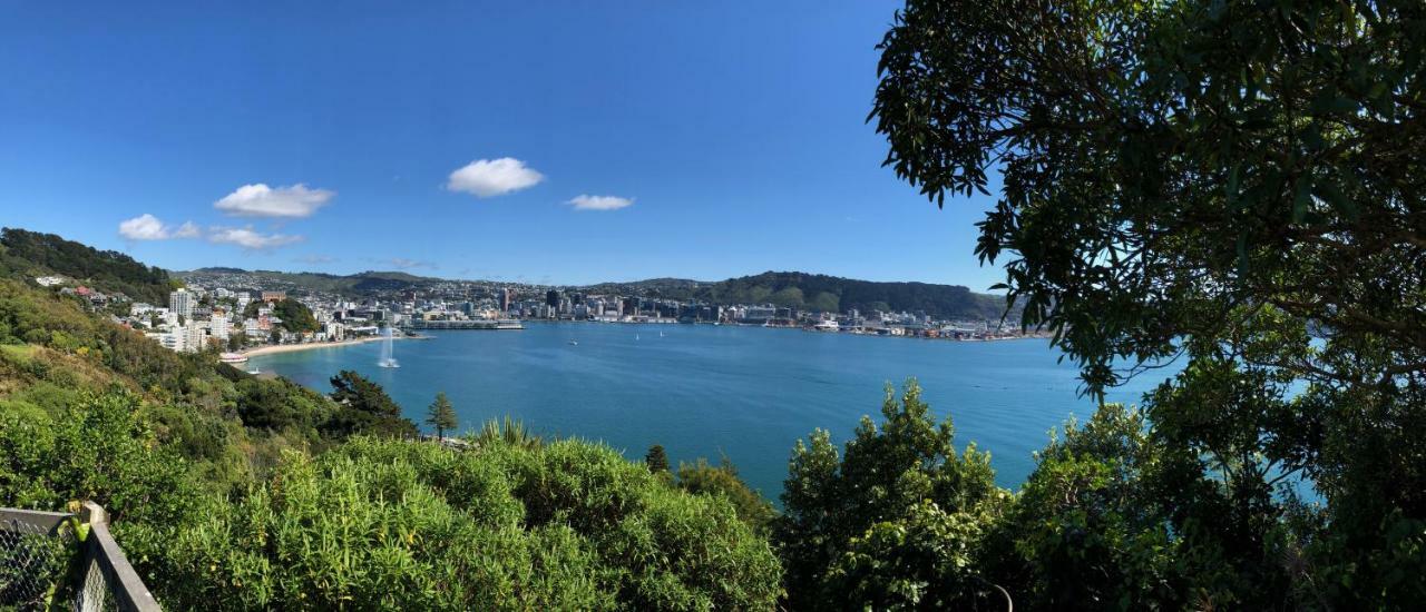 Incredible Views! Luxurious Studio & Outdoor Living Wellington Dış mekan fotoğraf